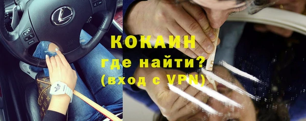 гидра Арсеньев