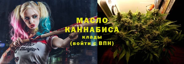 гидра Арсеньев