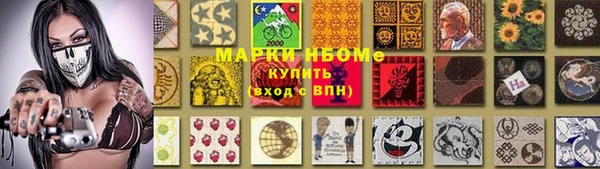 гидра Арсеньев
