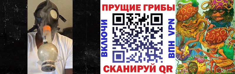 Псилоцибиновые грибы мицелий  Сосновый Бор 